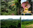 Visiting province Pailin