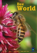 Cambodian bee decorate front cover of the magazine BEE WORLD