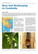 Bees and beekeeping in Cambodia
