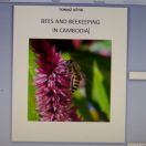 The book is completed: Bees and beekeeping in Cambodia