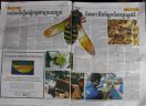 Article in Cambodian newspaper