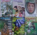 Cambodian bees in beekeeping magazins
